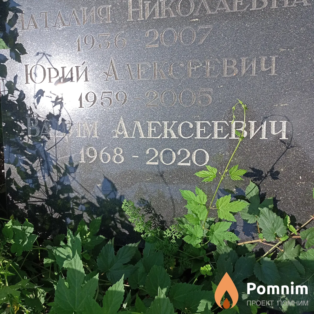 Денисенко Вадим Алексеевич