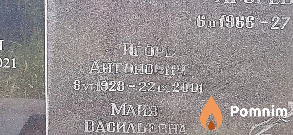 Михайловский Игорь Антонович