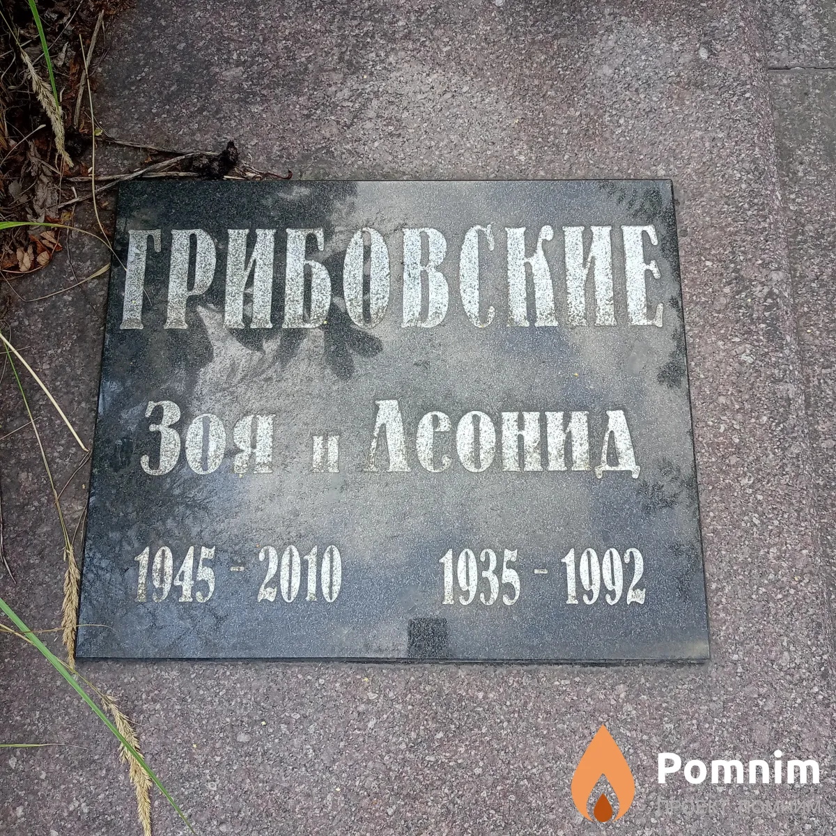 Грибовская Зоя