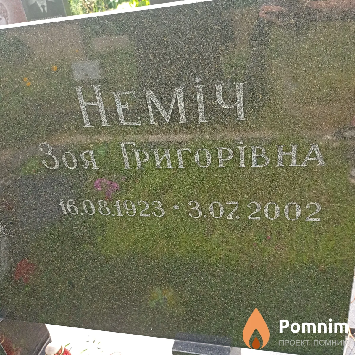 Немич Зоя Григориевна