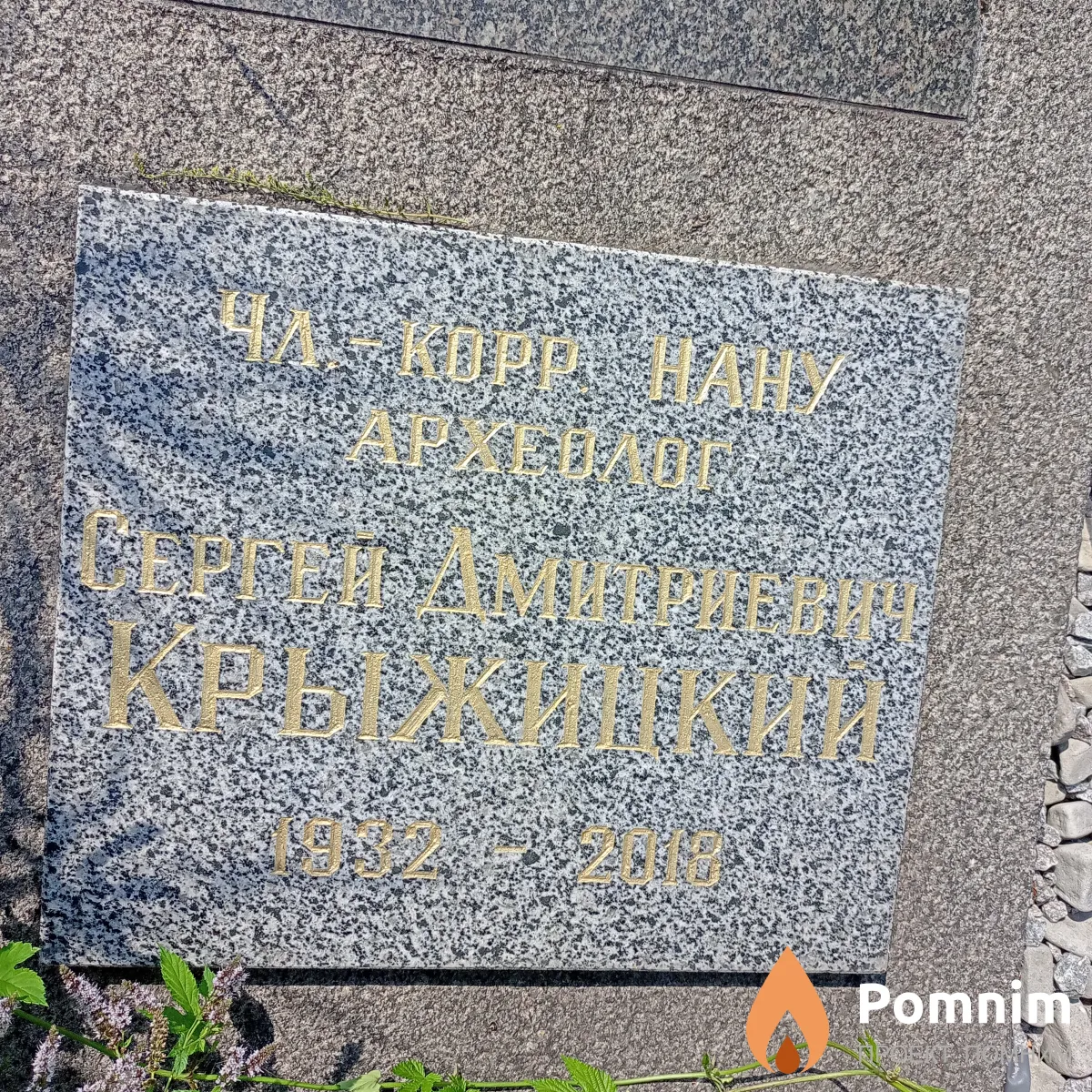 Крыжицкий Сергей Дмитриевич