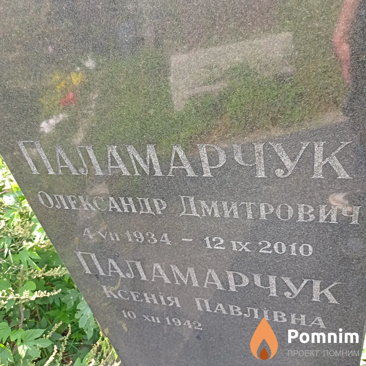 Паламарчук Ксенія Павлівна
