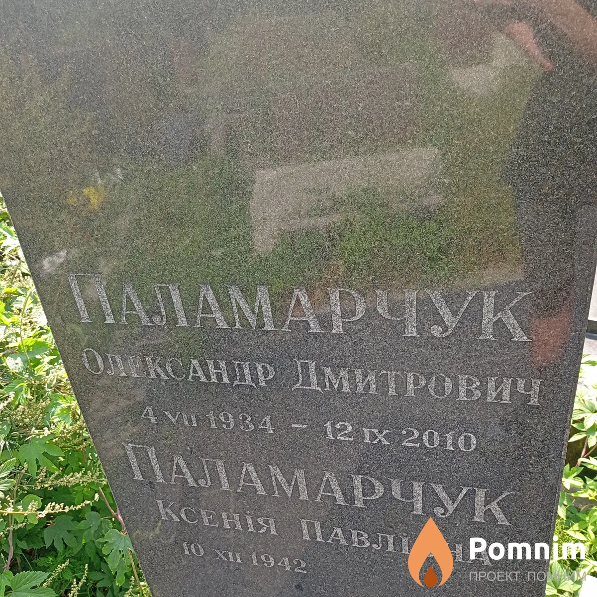 Паламарчук Александ Дмитриевич