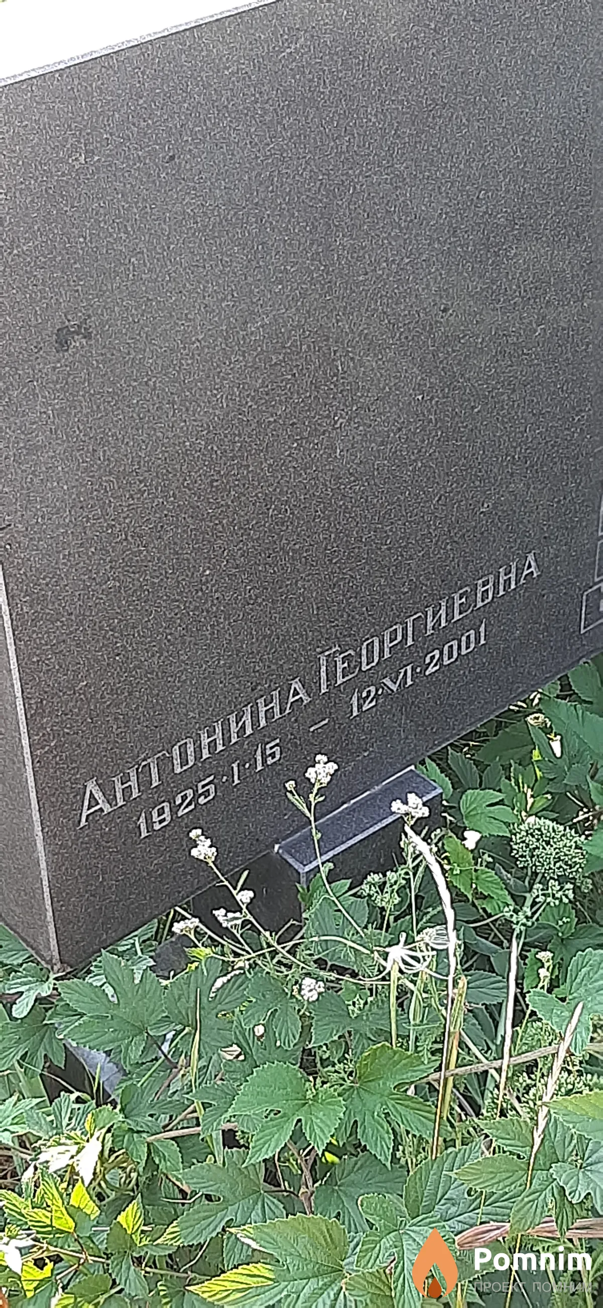 - Антонина Георгиевна