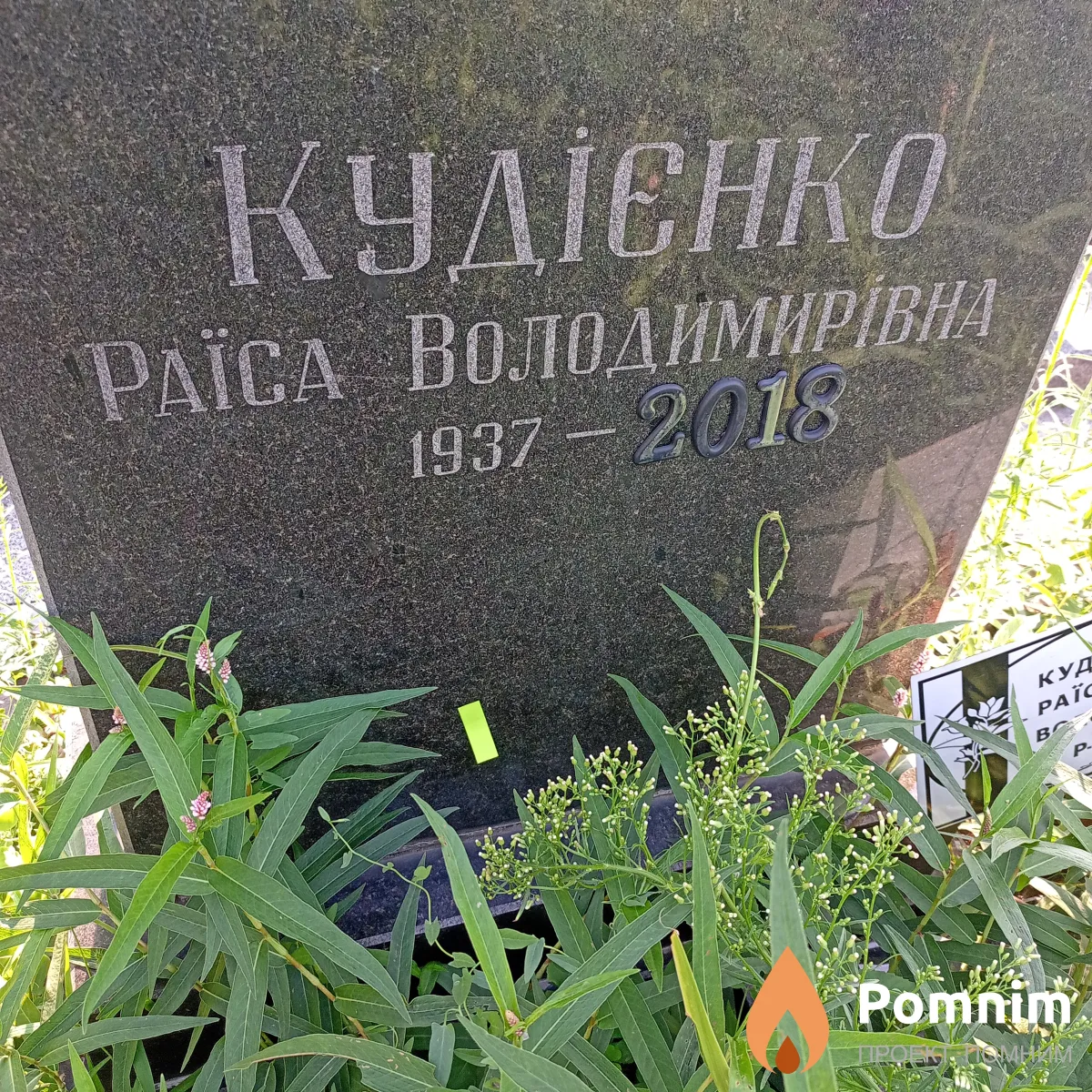 Кудієнко Раїса Володимирівна