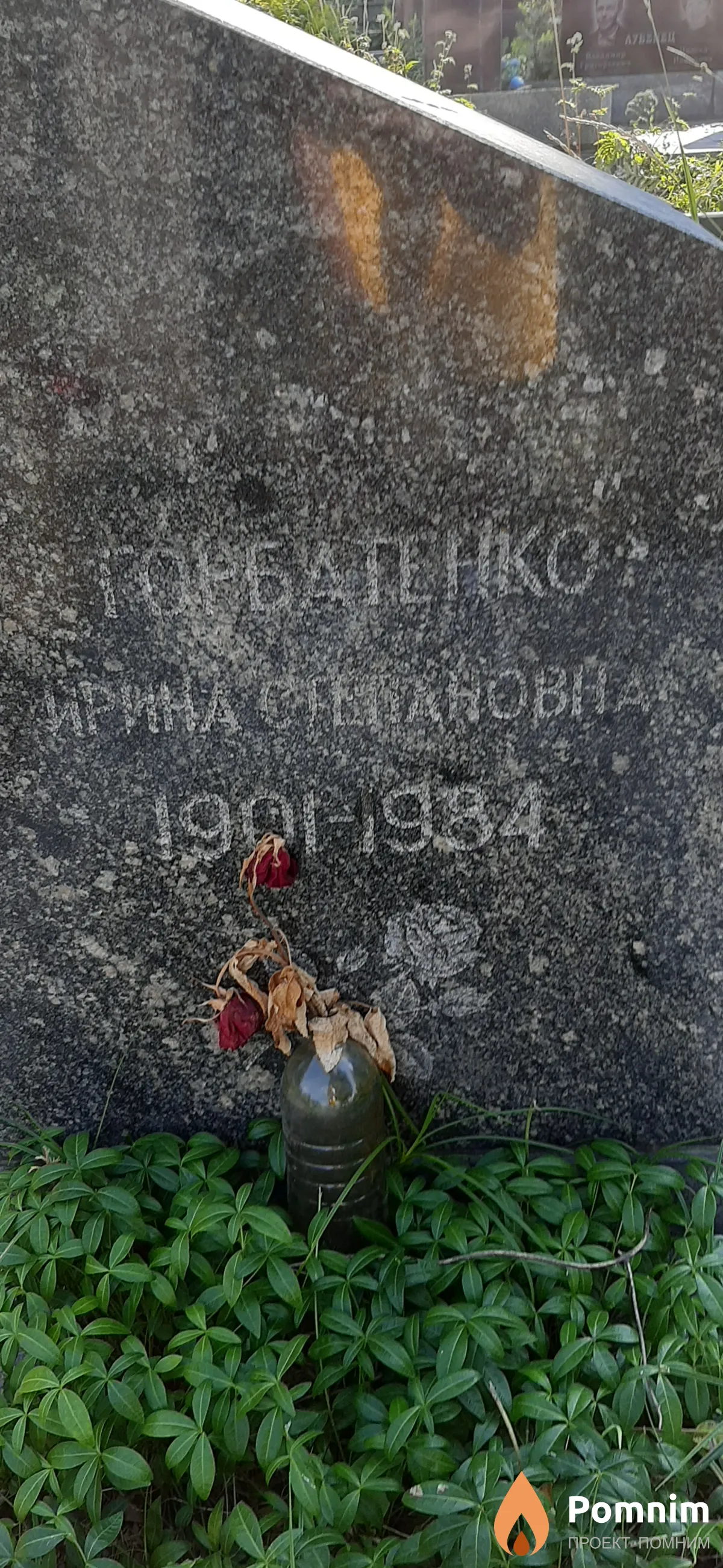 Горбаненко Ирина Степановна