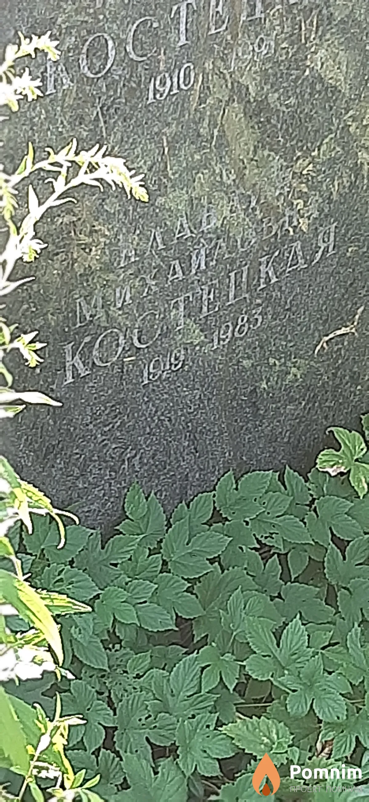 Костецкая Клавдия Михайловна