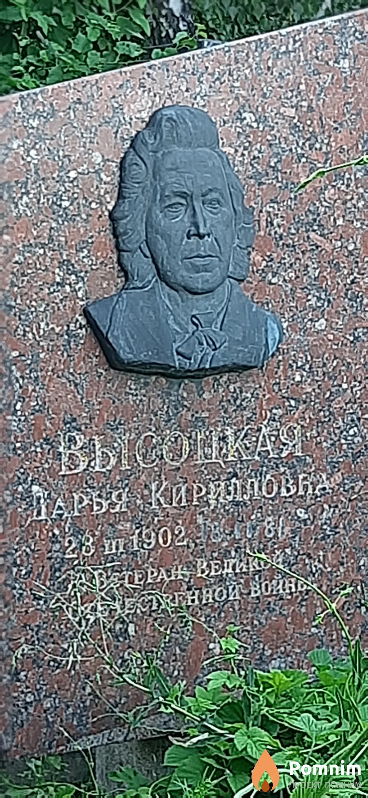 Высоцкая Дарья Кириловна