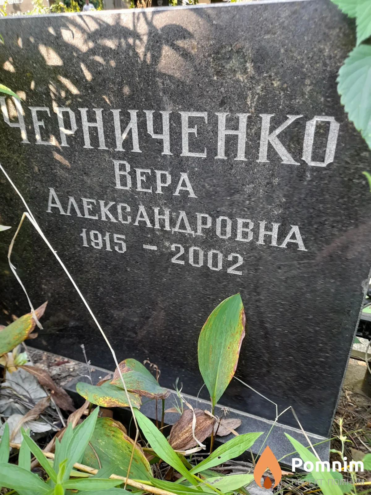 Черниченко Вера Александровна