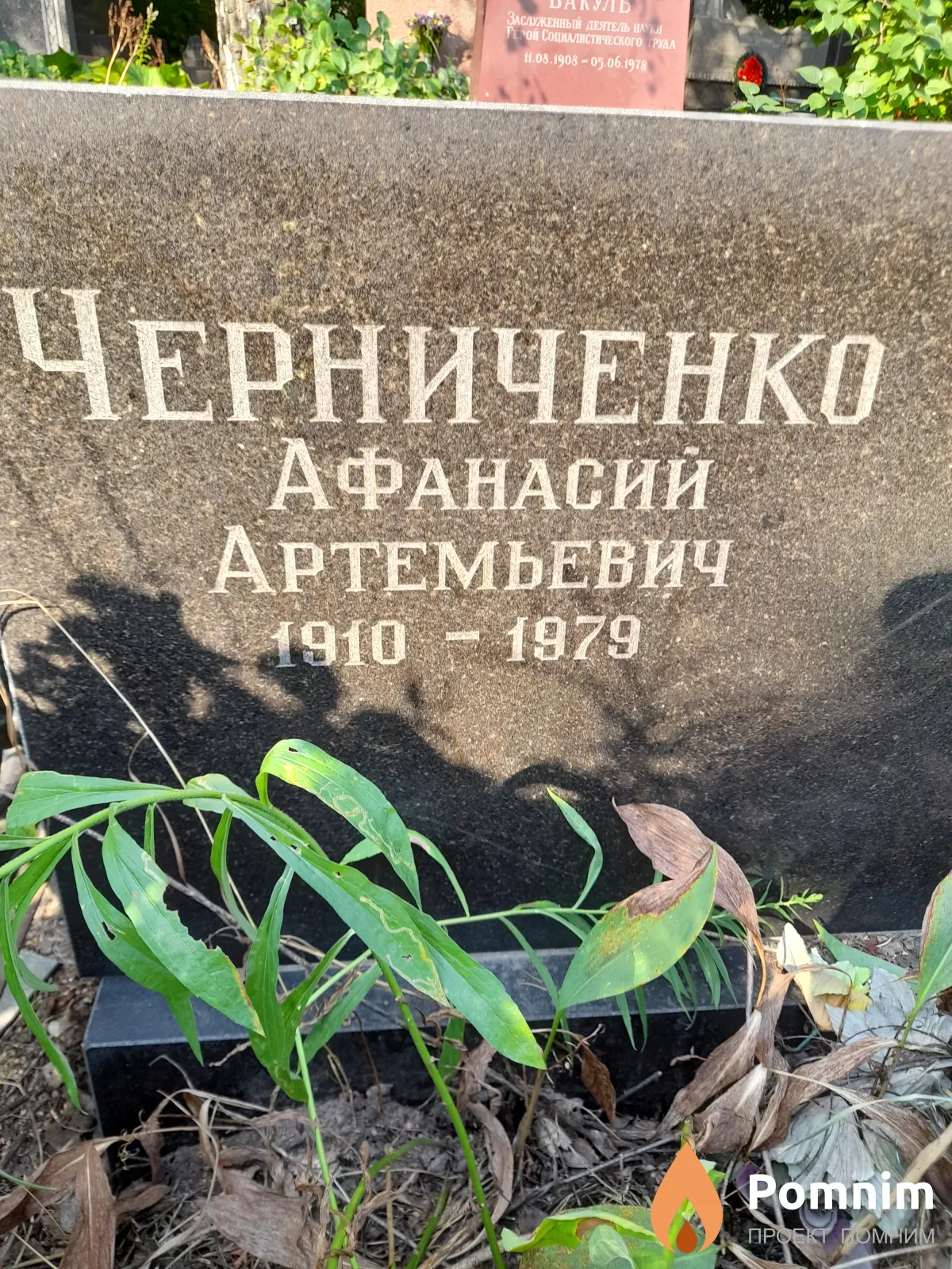 Черниченко Афанасий Артемьевич