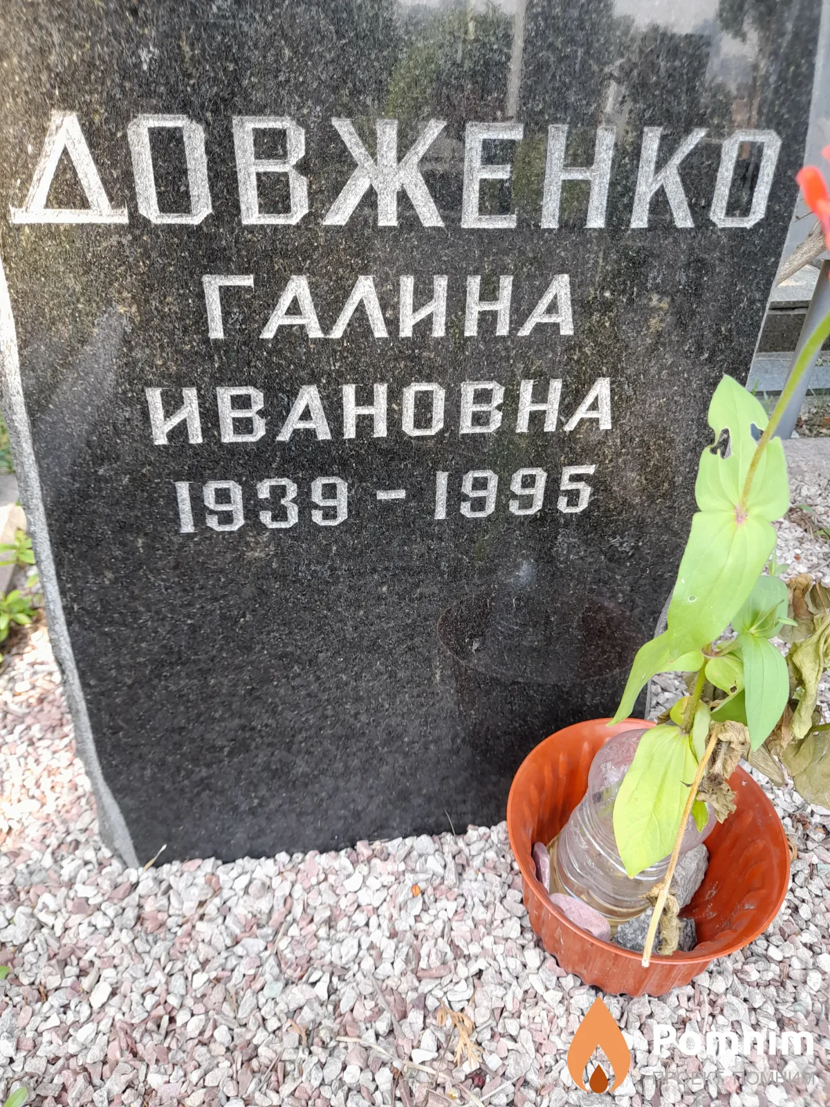 Довженко Галина Ивановна