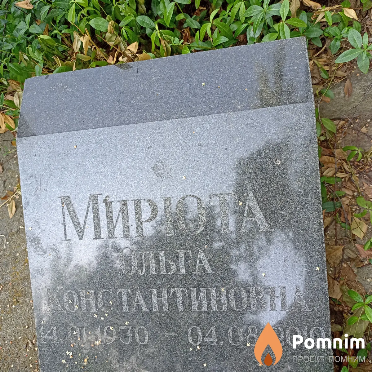 Мирюта Ольга Константиновна