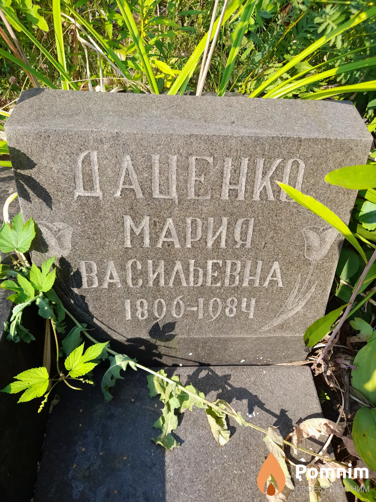 Даценко Марии Васильевна