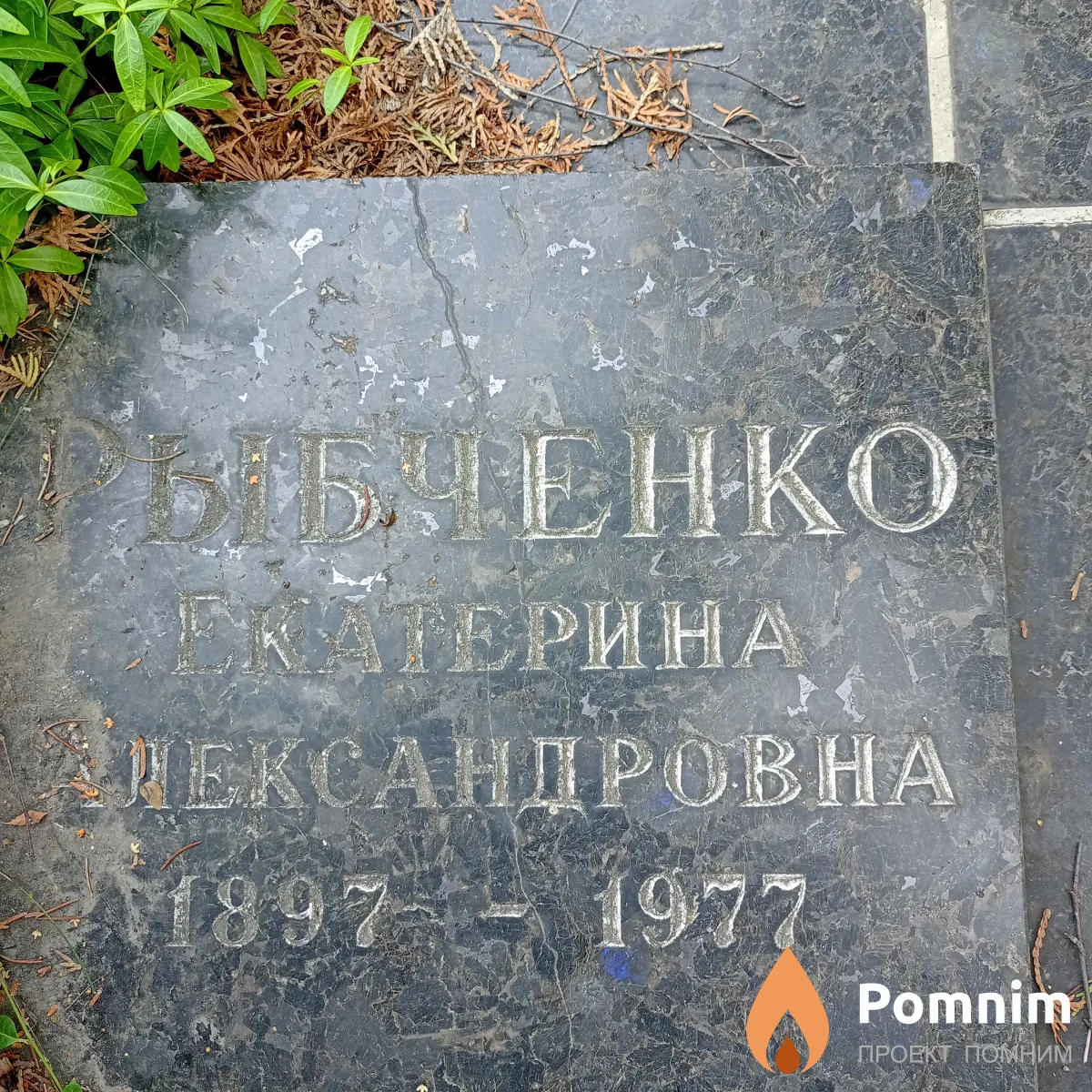 Рыбченко Екатерина Александровна