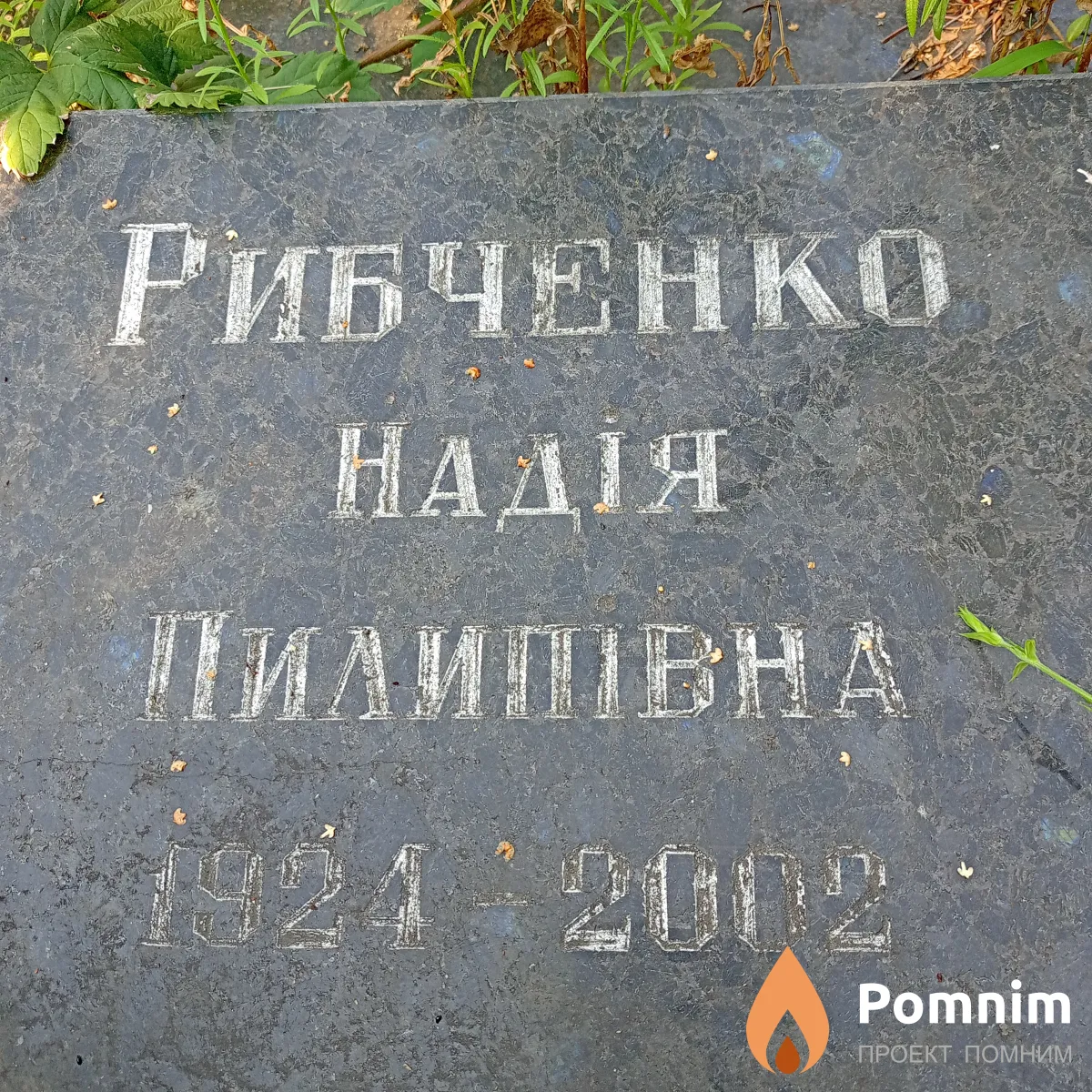 Рибченко Надія Пилипена