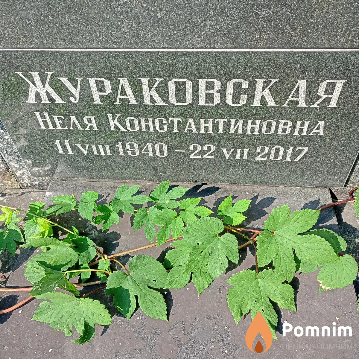Жураковская Неля Константиновна