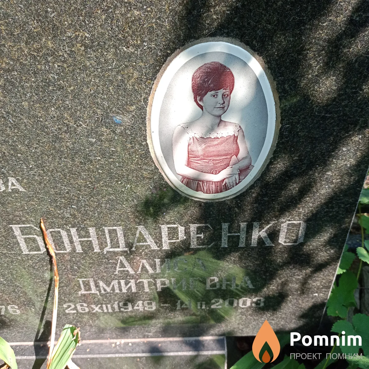 Бондаренко Алиса Дмитриевна