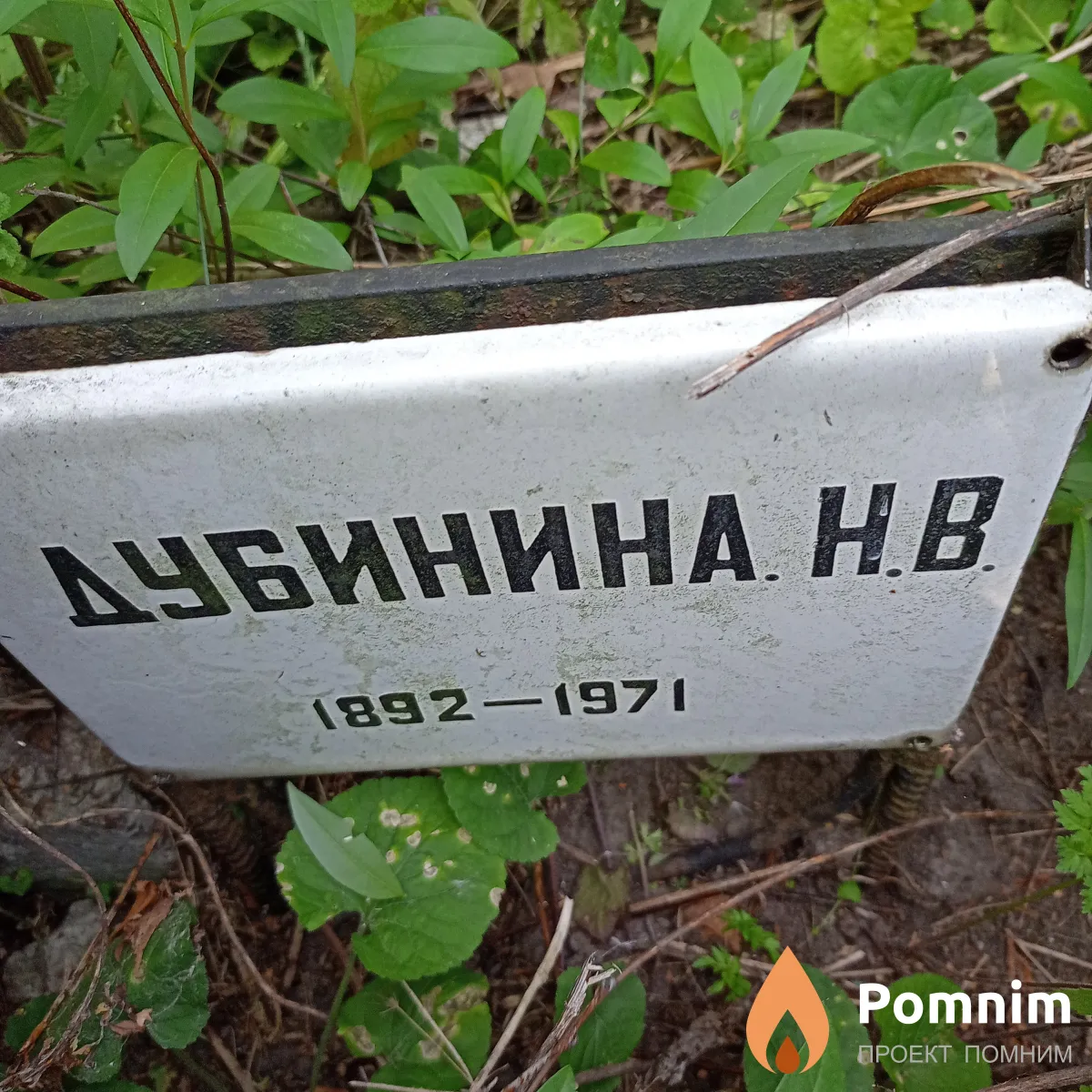 Дубинина Н В