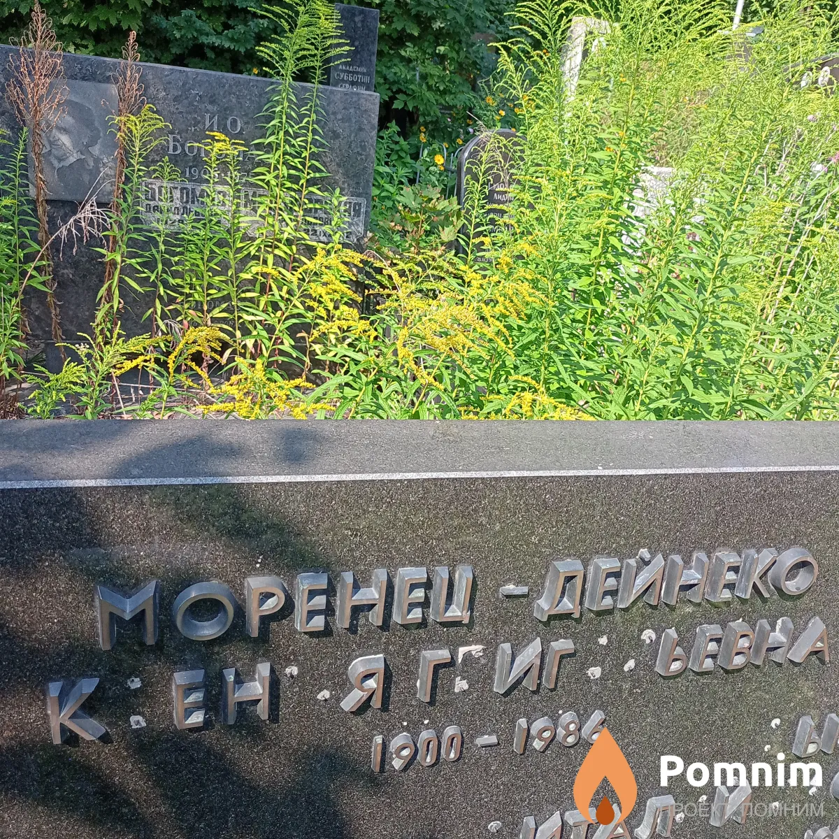 Моренец Ксения Григорьевна