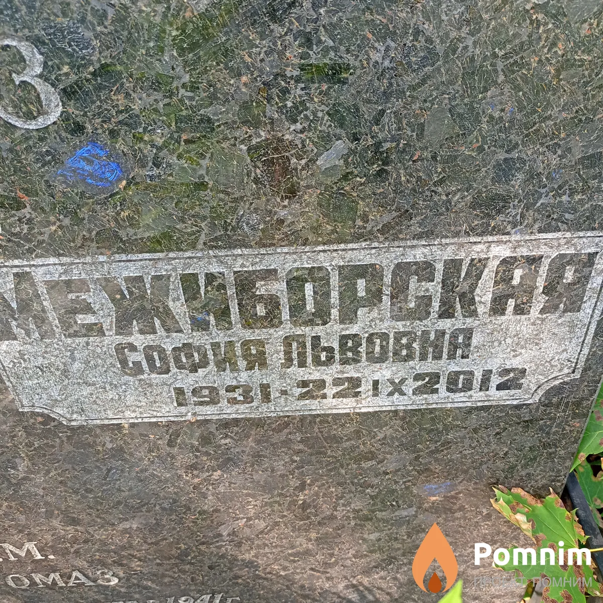 Межиборская София Львовна