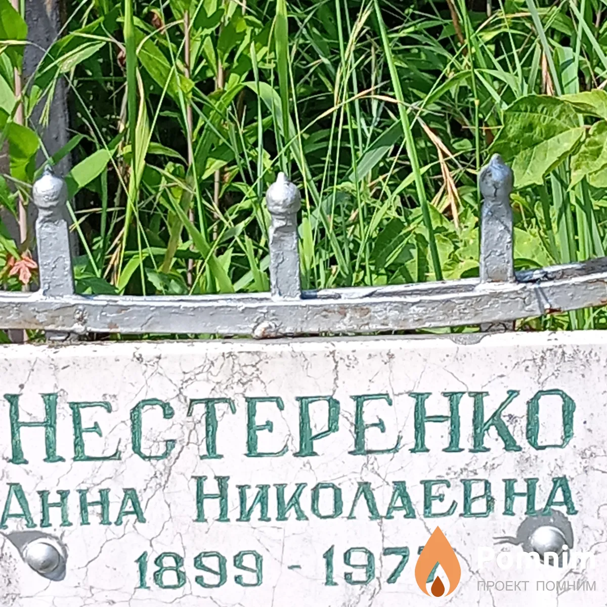 Нестеренко Анна Николаевна