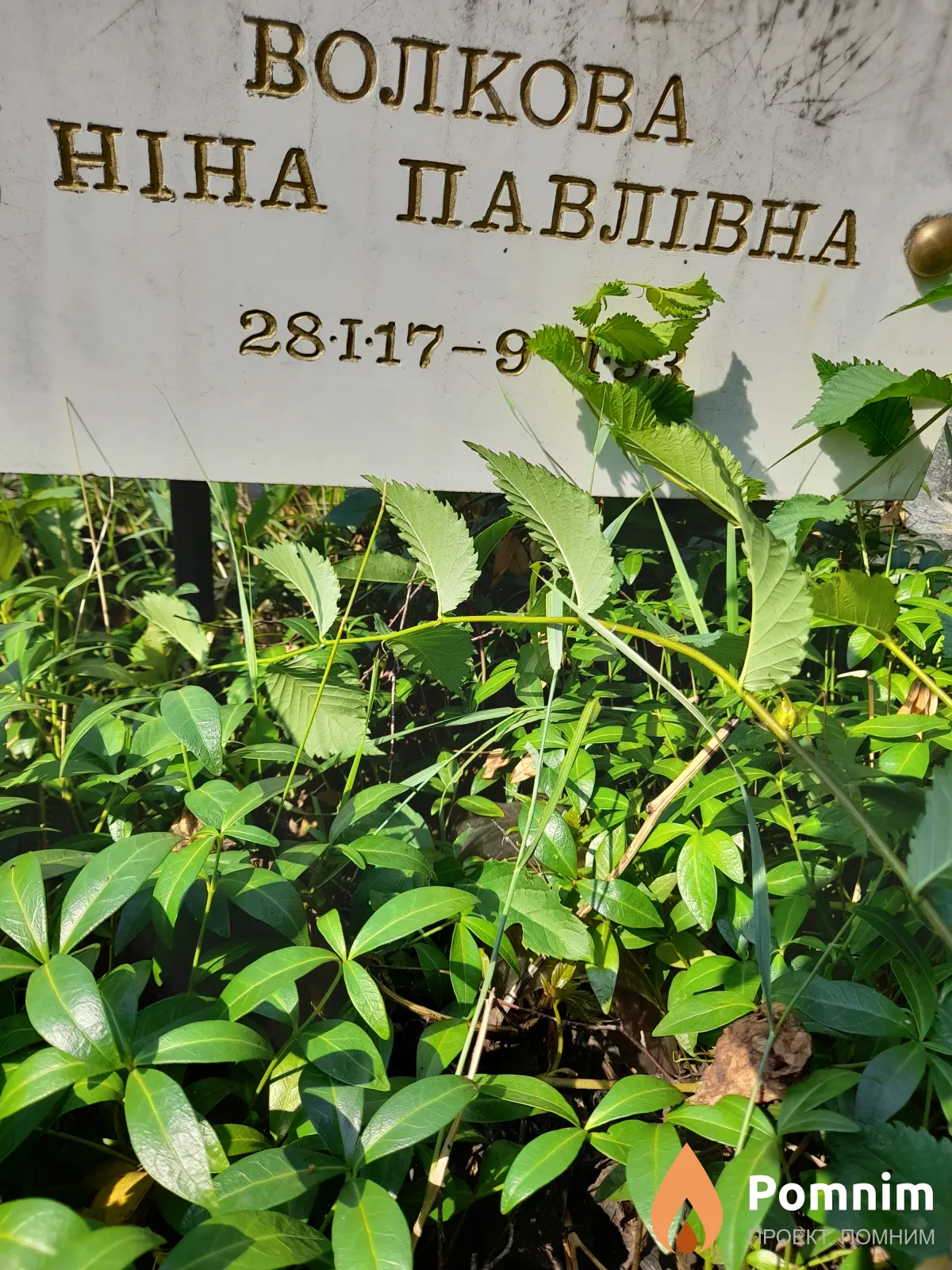 Волкова Нина Павловна