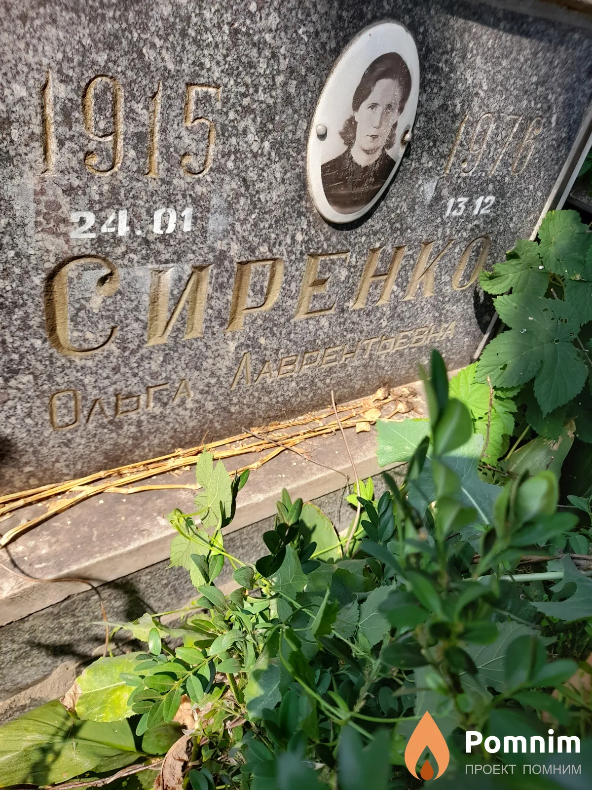 Сиренко Ольга Лаврентьевна