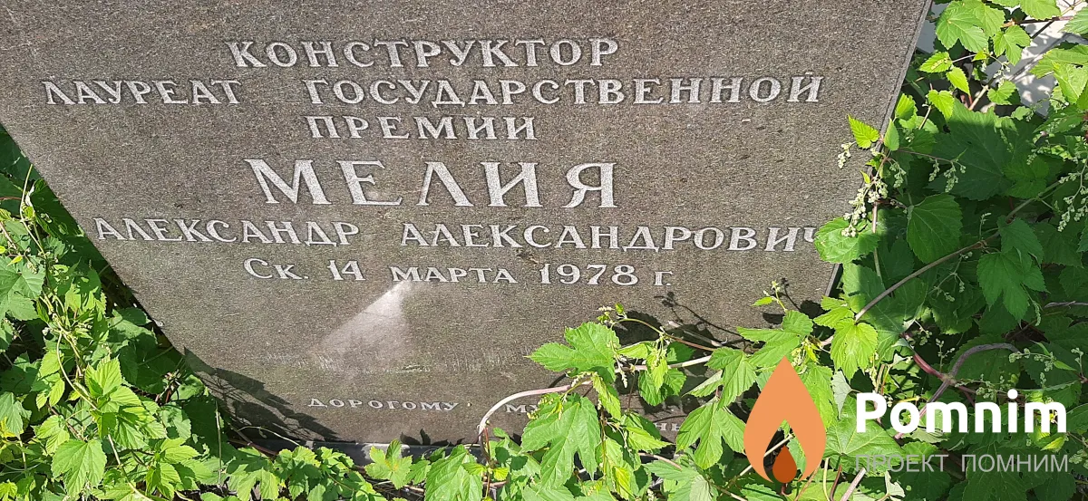 Мелия Александр Александрович