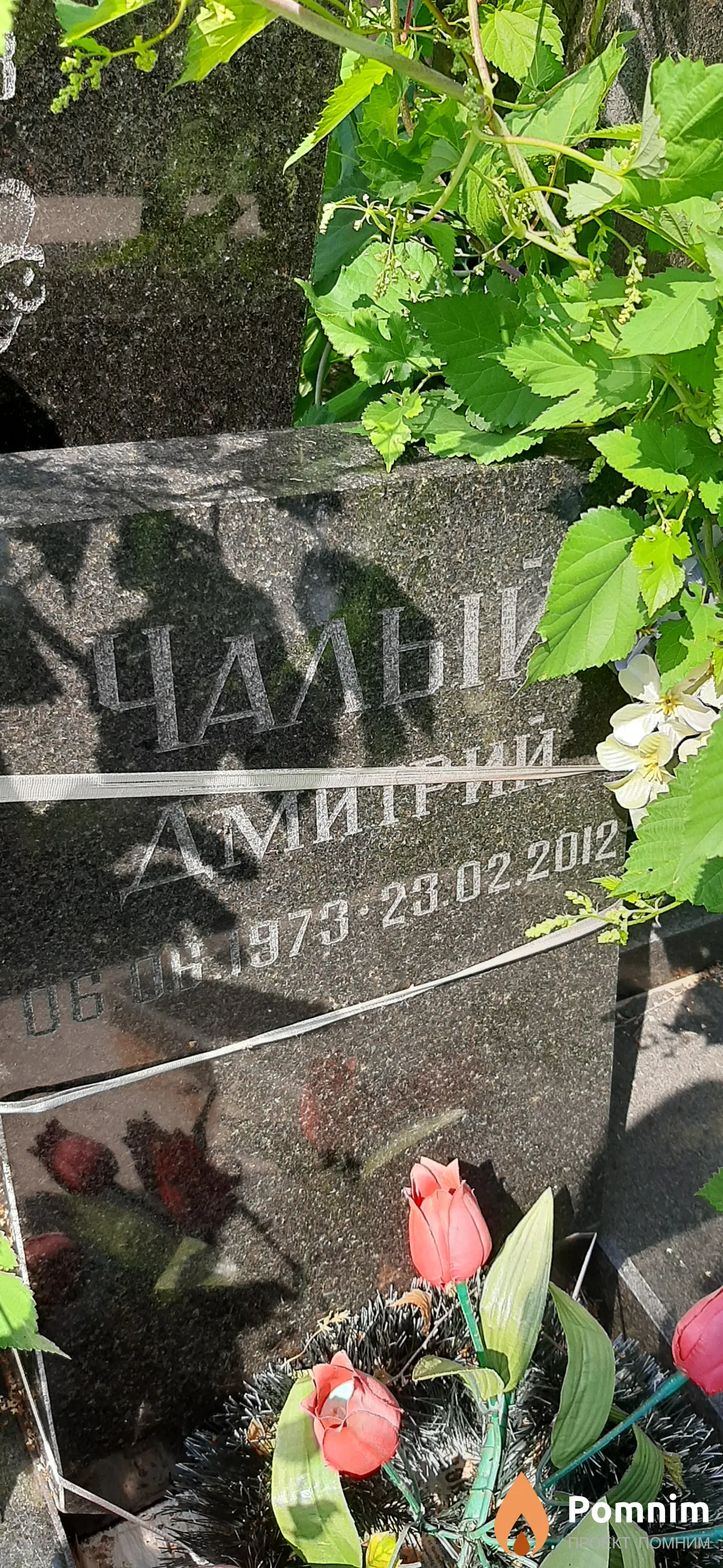 Чалый Дмитрий -