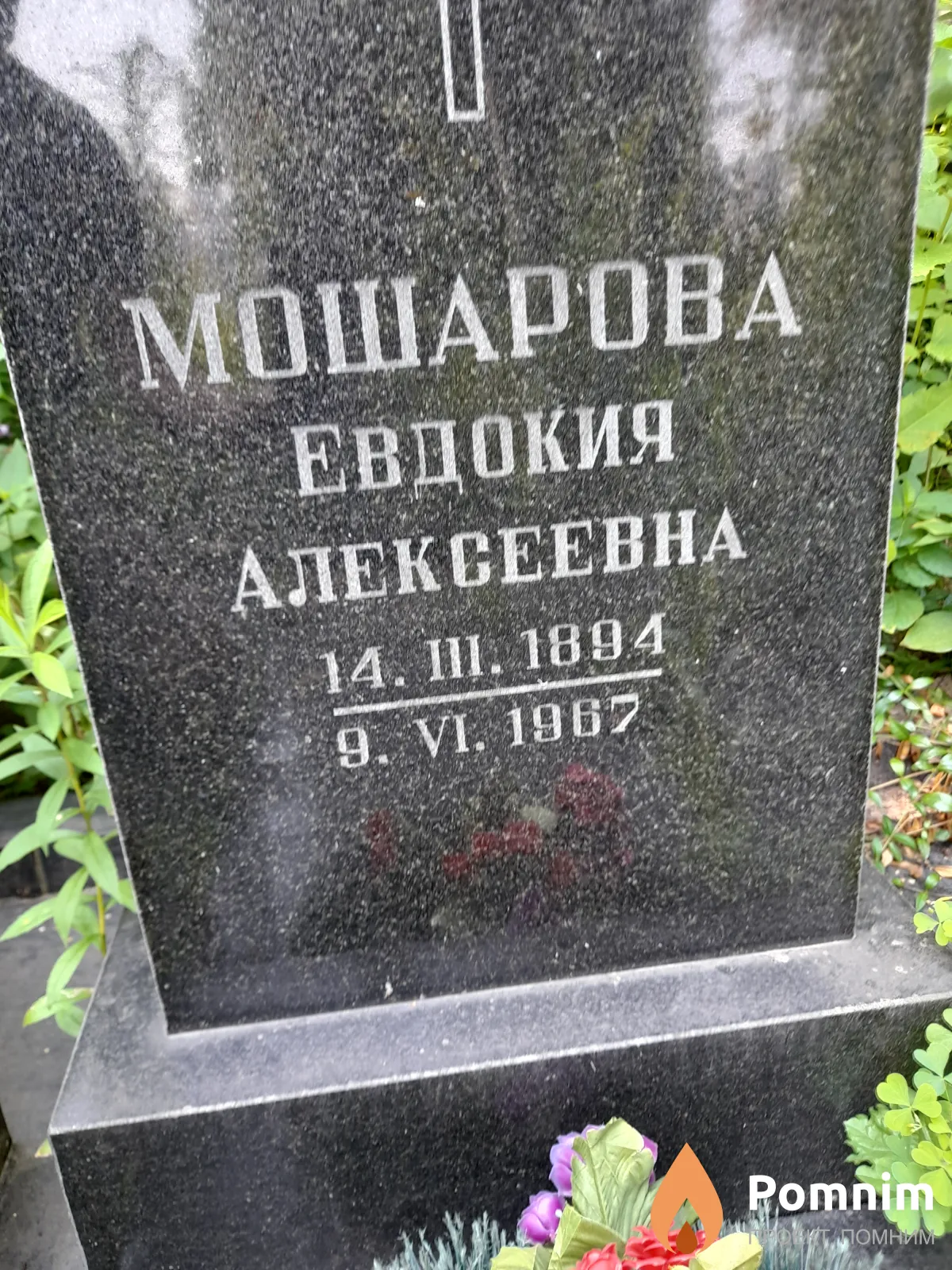Мошарова Евдокия Алексеевна