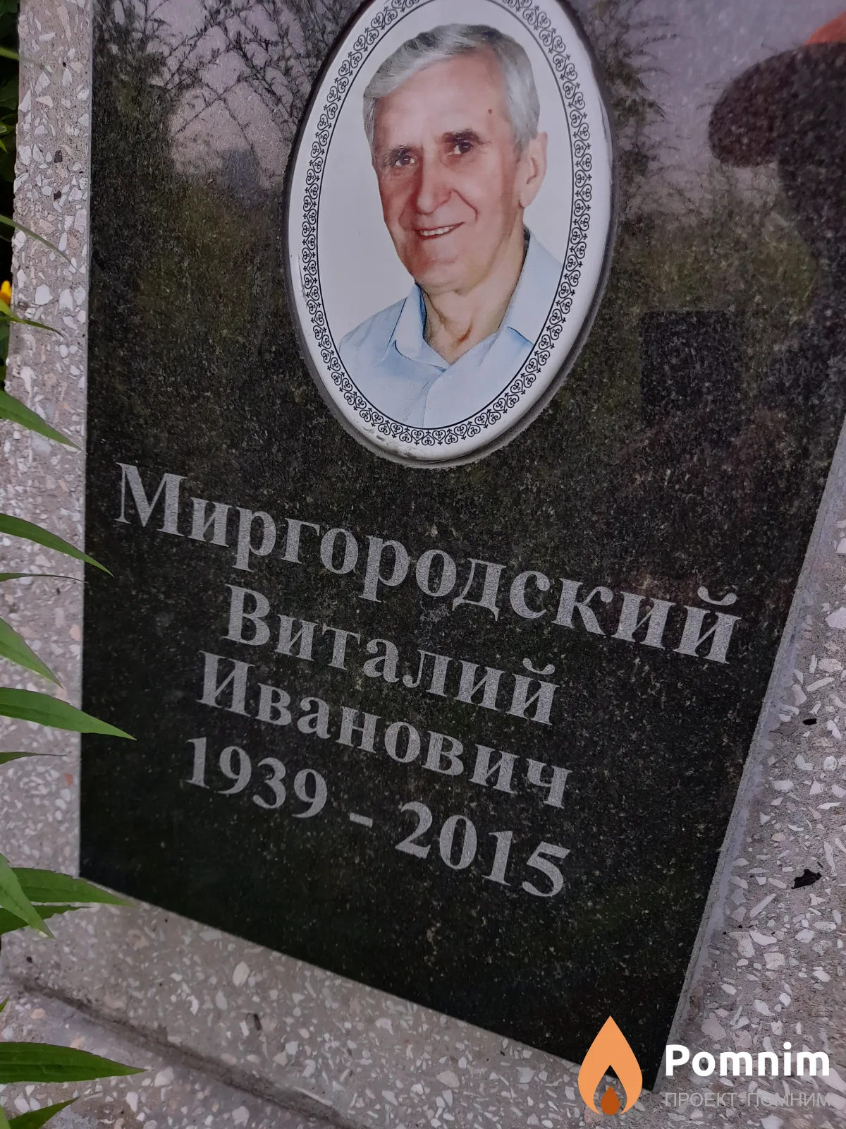 Миргородский Виталий Иванович