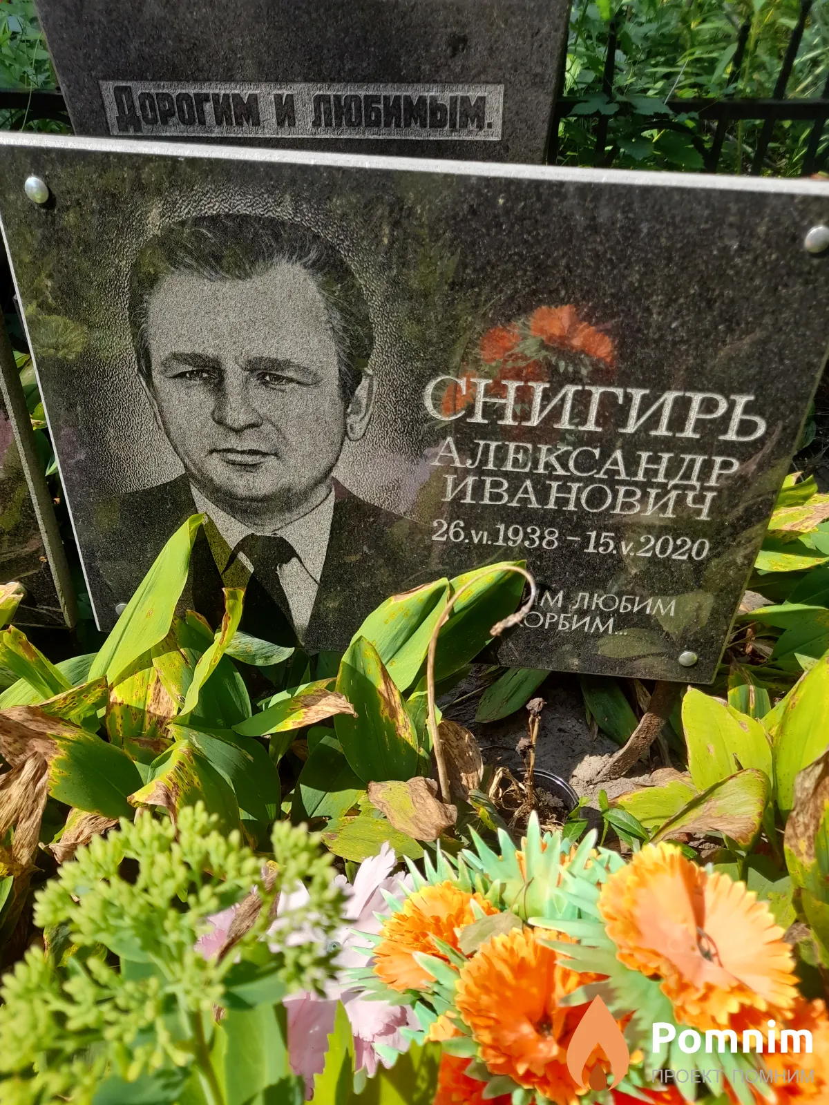Снигирь Александр Иванович