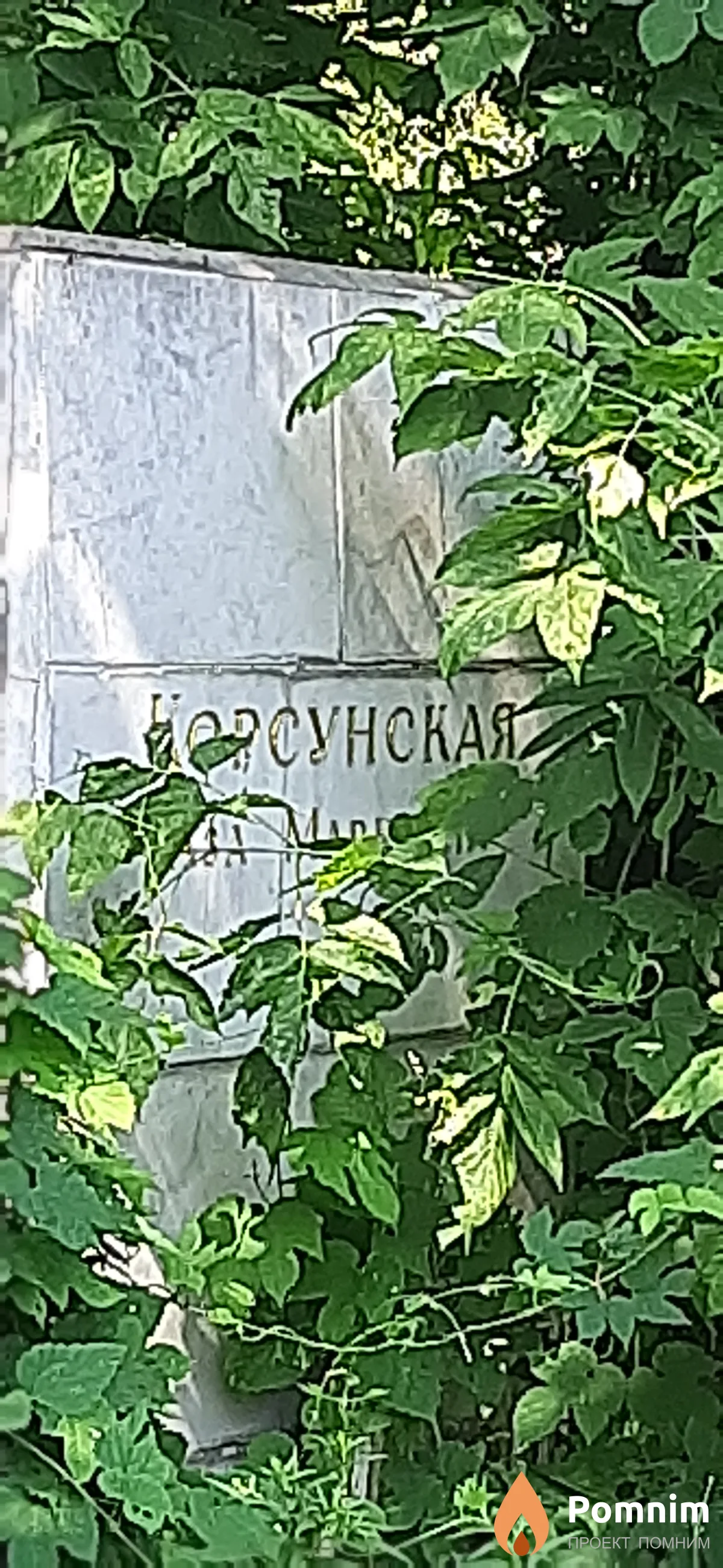 Корсунская Аза Марковна