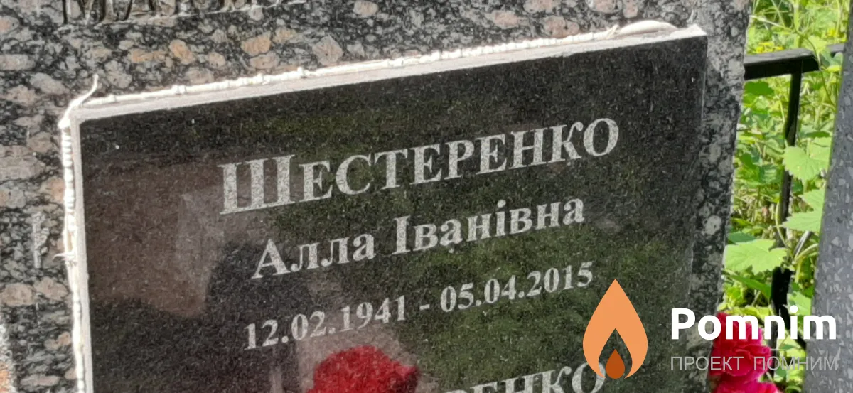 Шестеренко Алла Іванівна