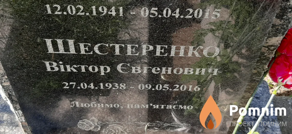 Шестеренко Виктор Евгенович