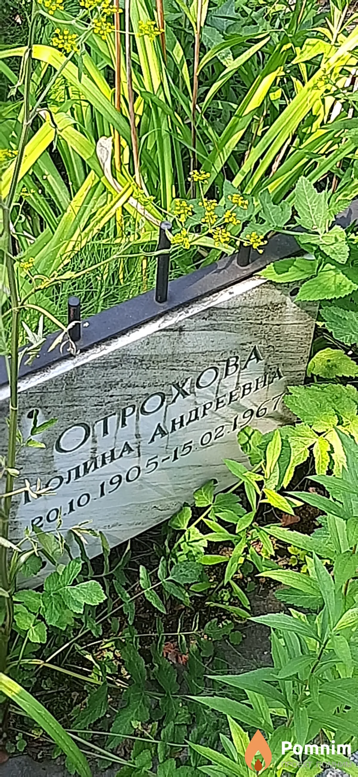 Отрохова Полина Андреевна