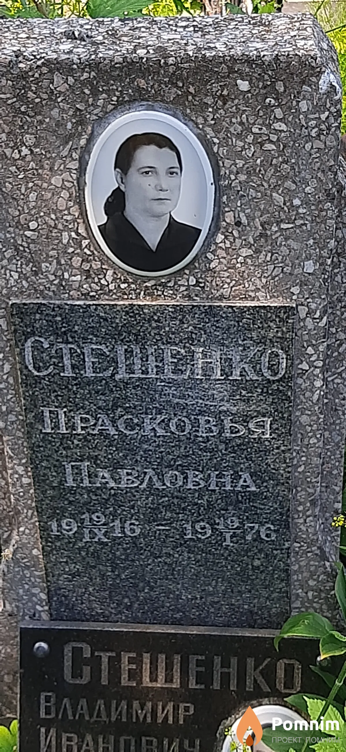 Стешенко Прасковья Павловна