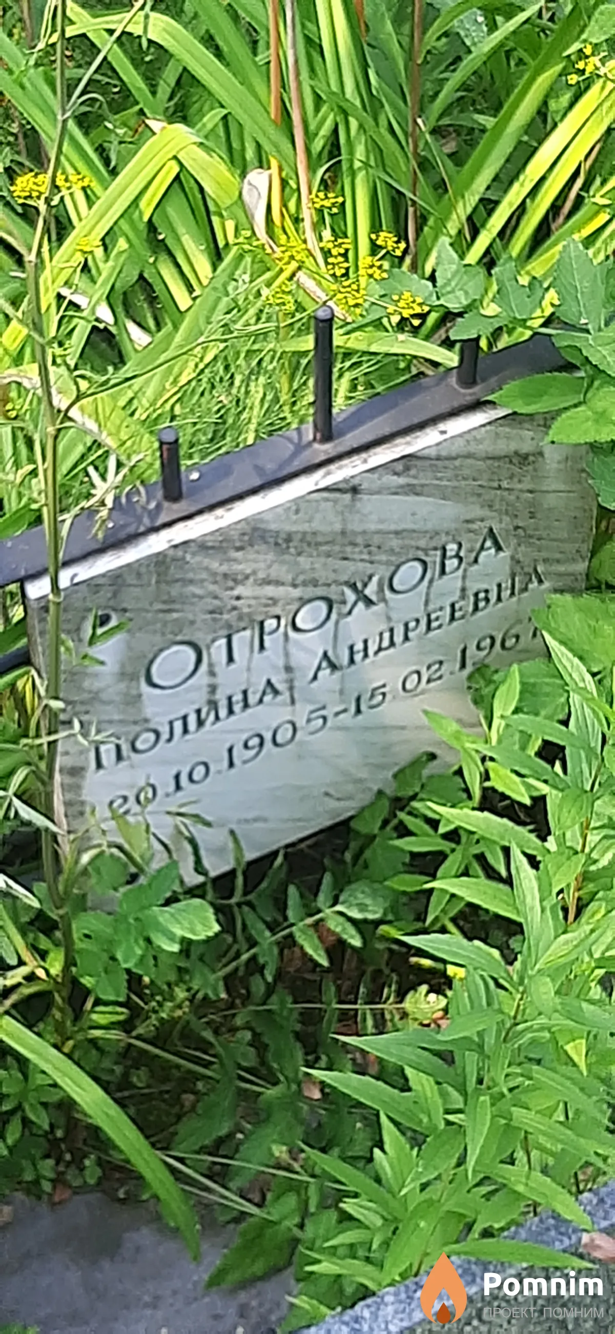 Огрохова Полина Андреевна