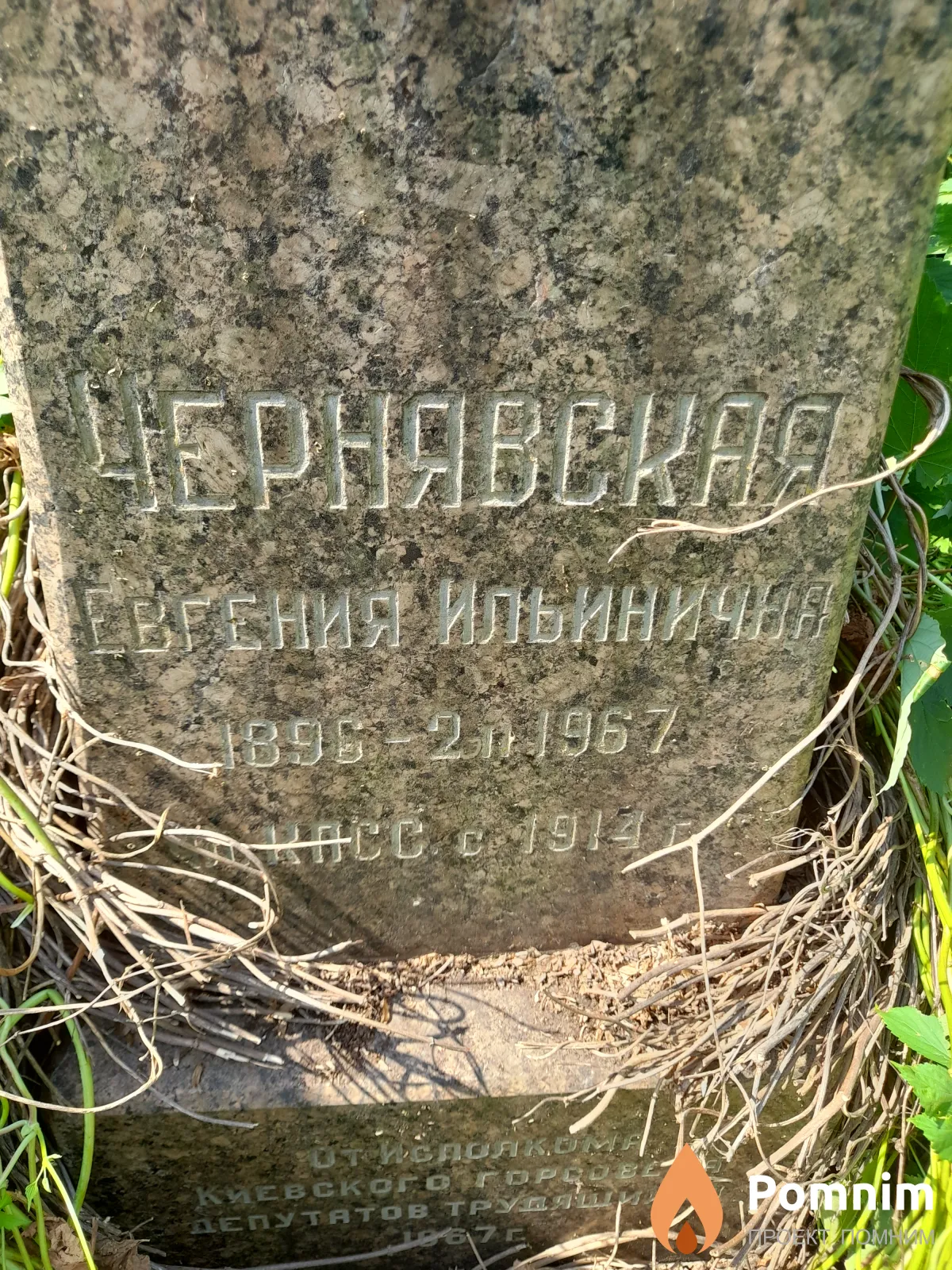 Чернявская Евгения Ильинична