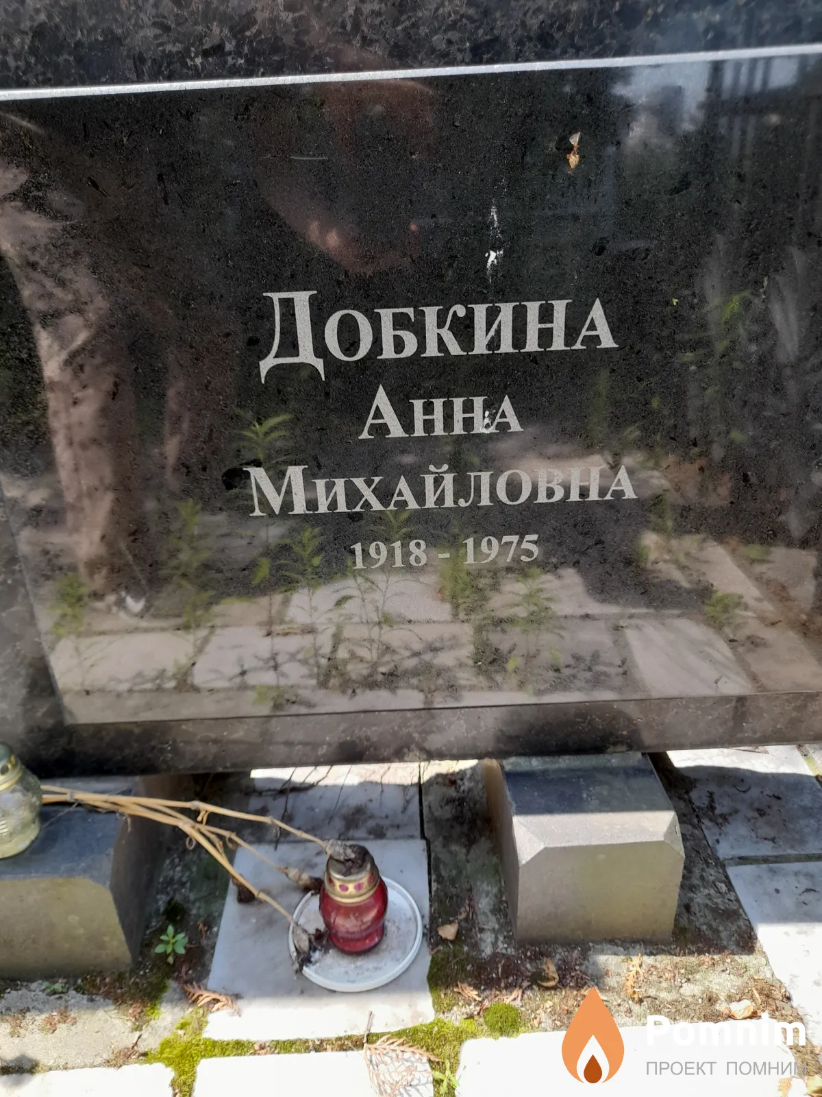 Добкина Анна Михайловна