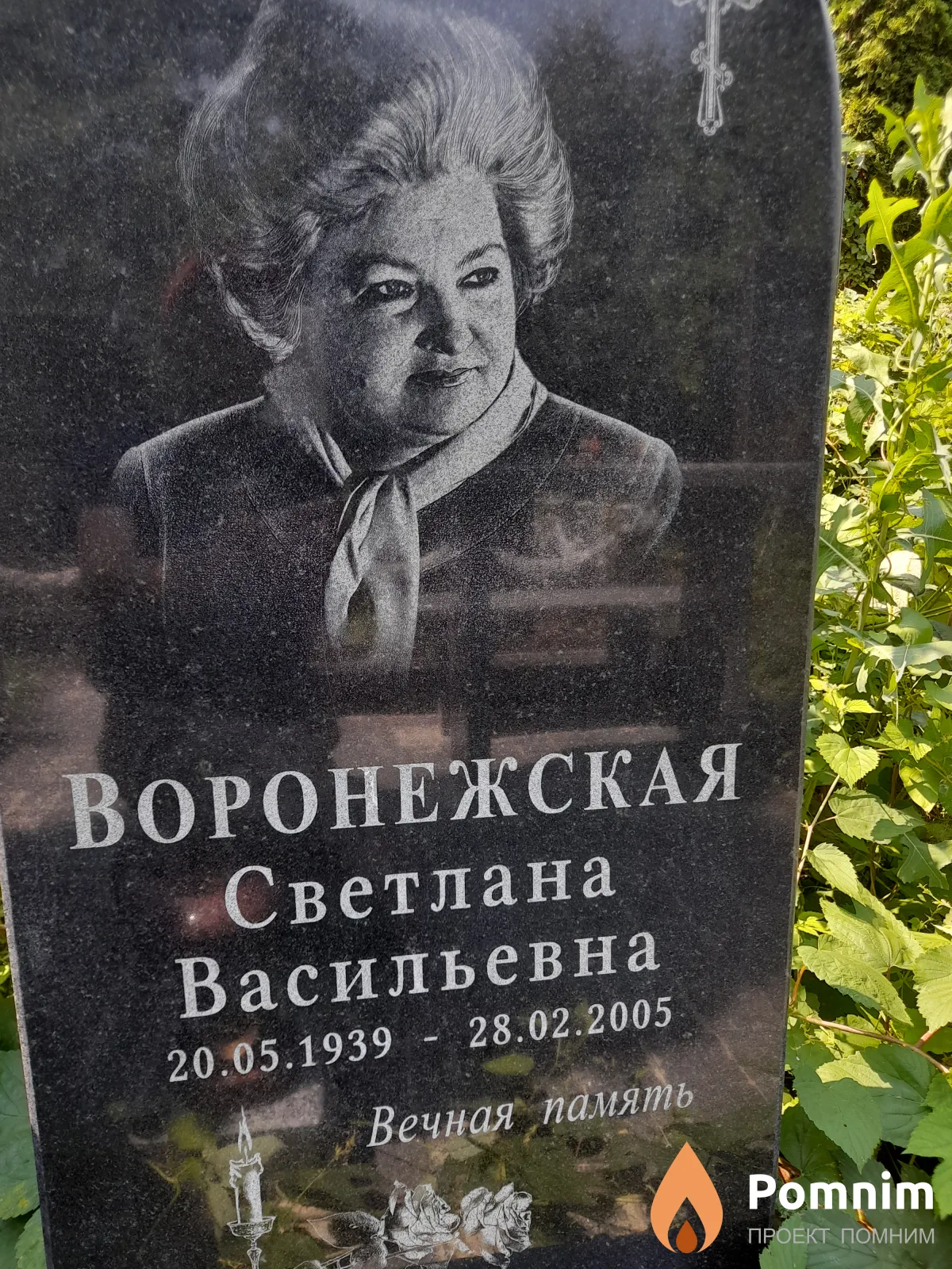 Воронежская Светлана Васильевна