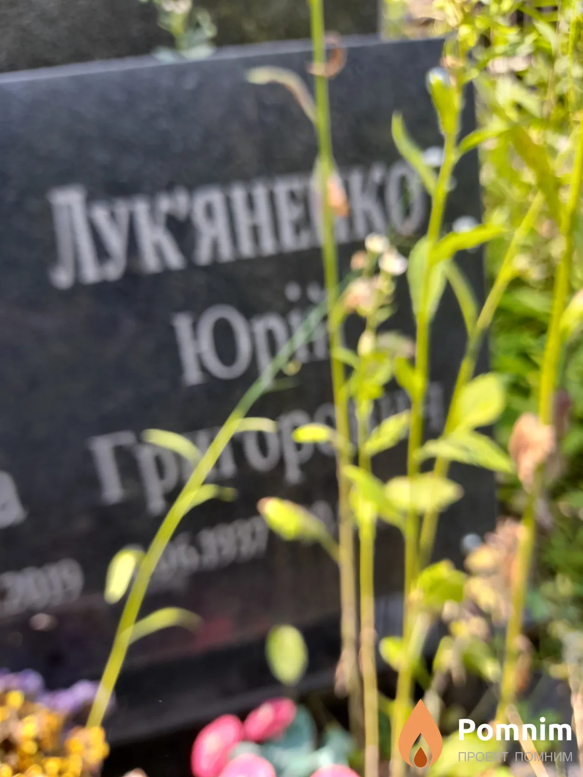Лукьяненко Юрий Григорович