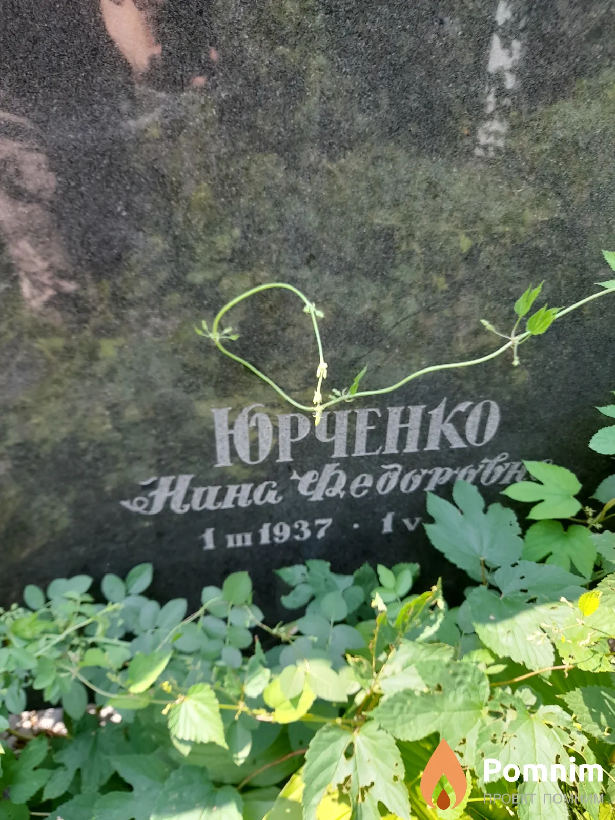 Юрченко Нина Фёдоровна