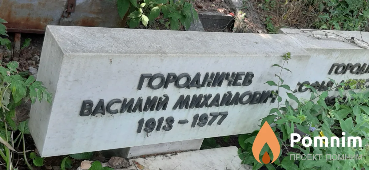 Городничев Василий Михайлович