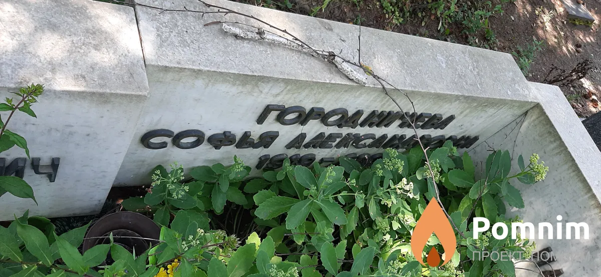 Гогодничева Софья Александровна