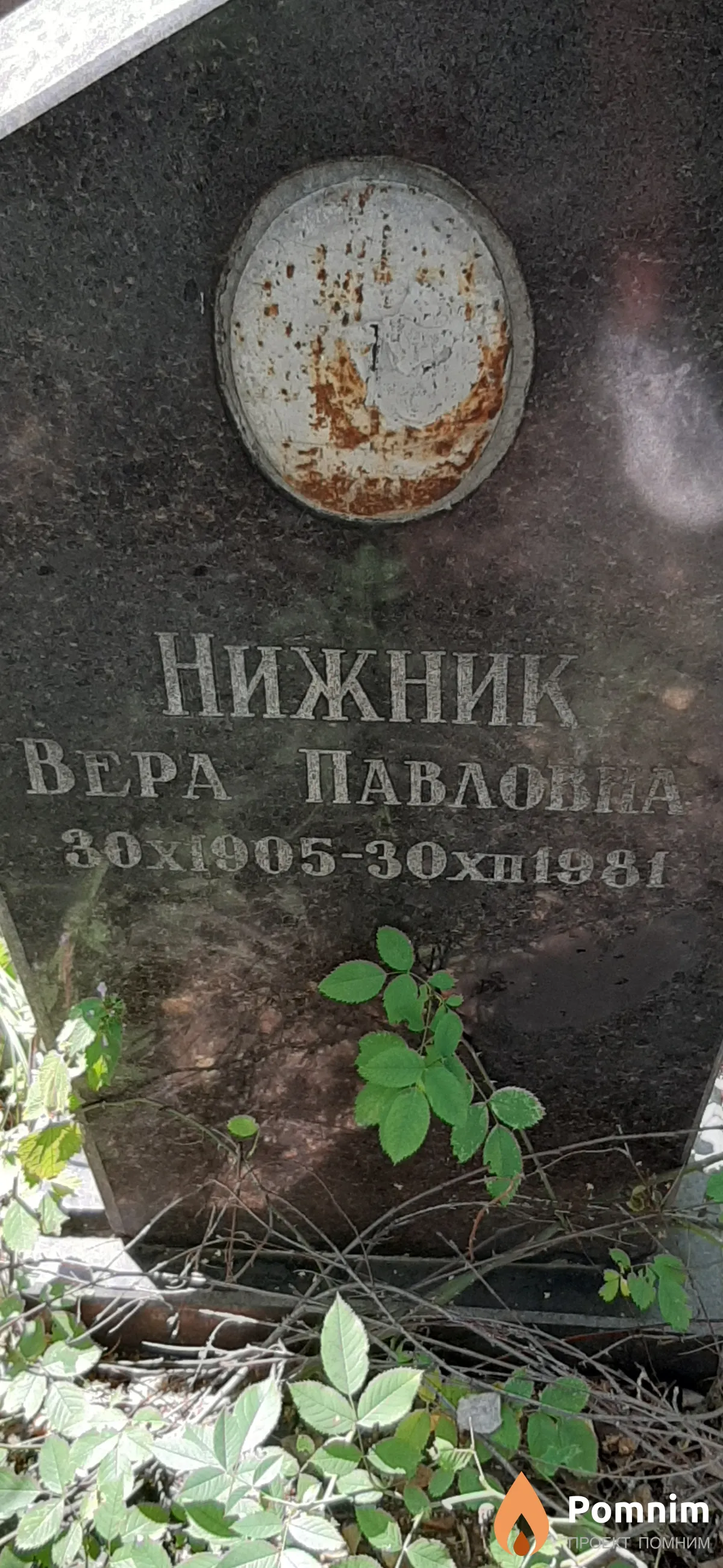 Нижник Вера Павловна