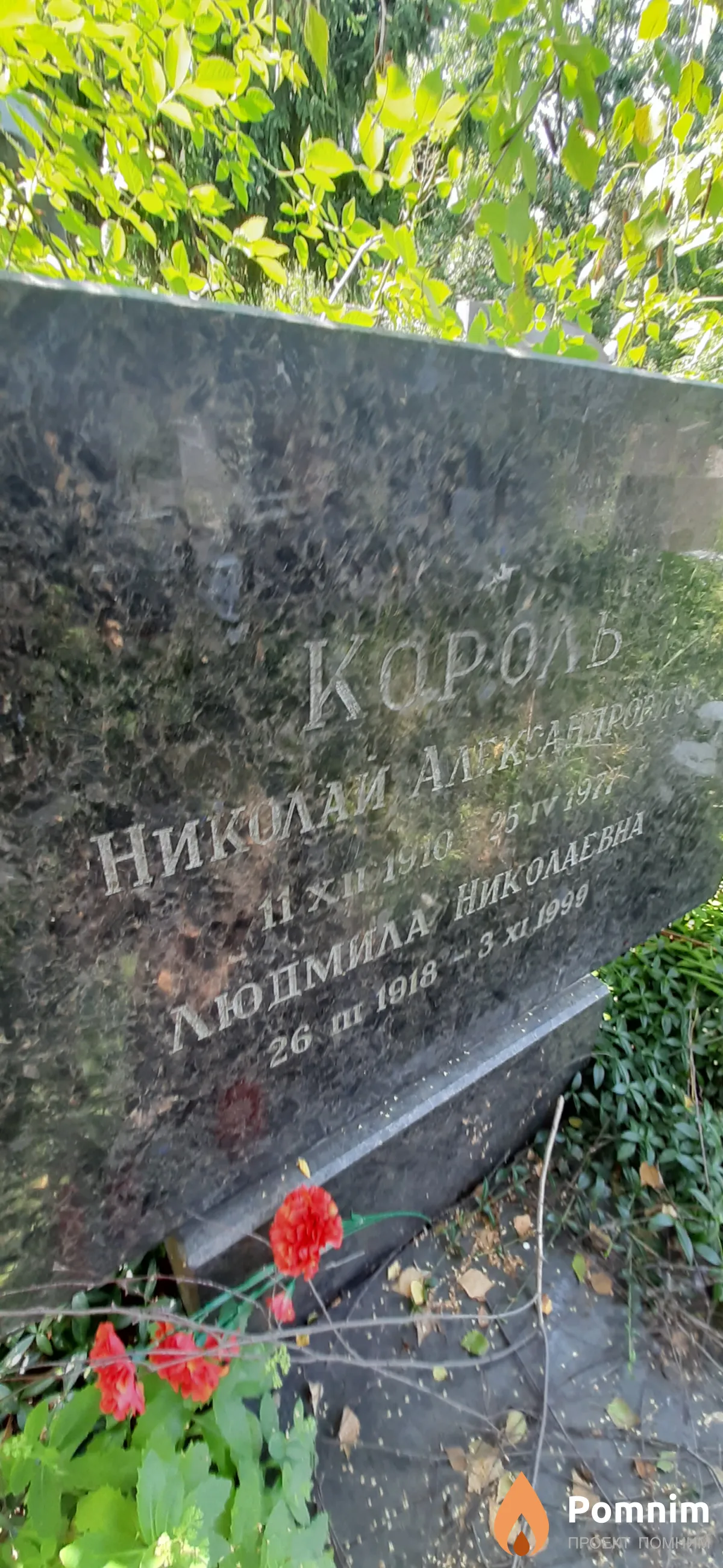 Король Николай Александрович