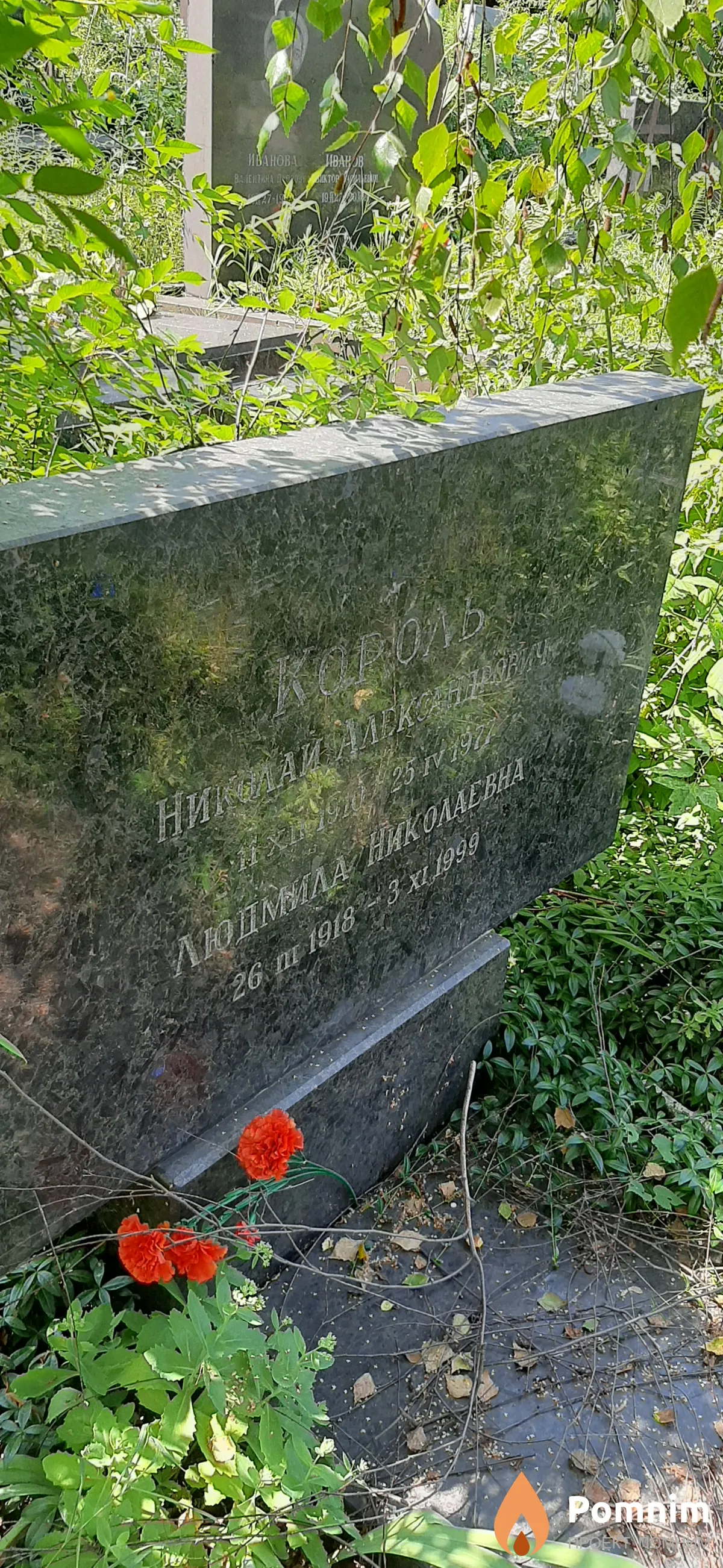 Король Людмила Николаевна