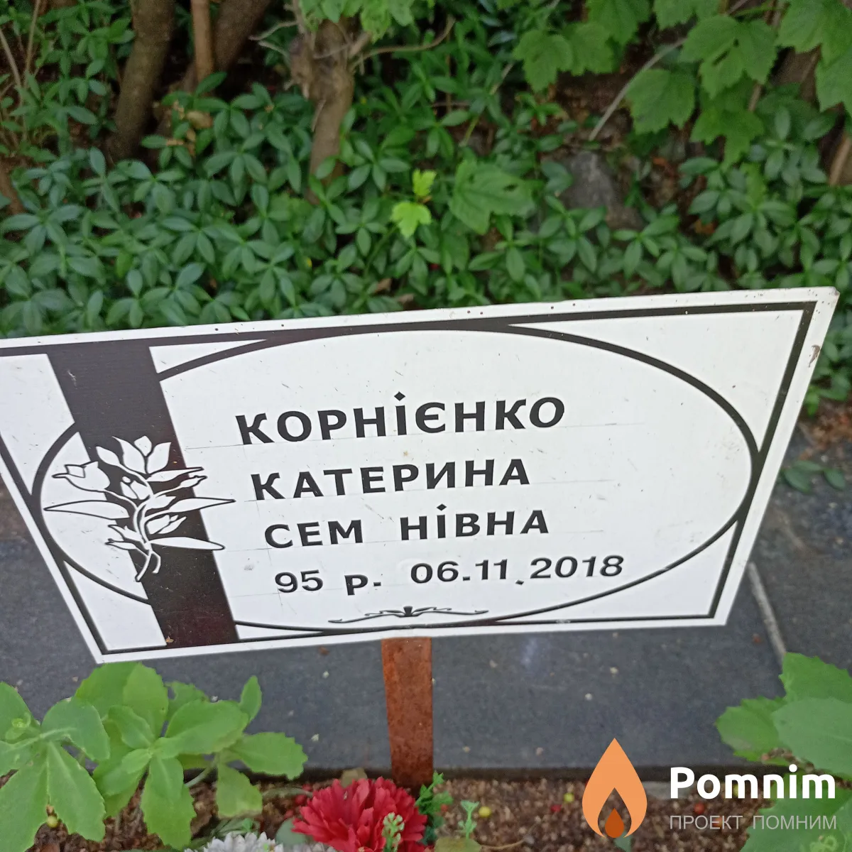 Корниенко Катерина Семёновна