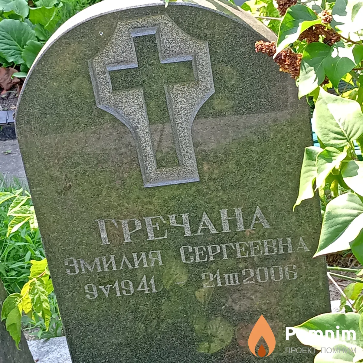 Гречана Эилия Сергеевна